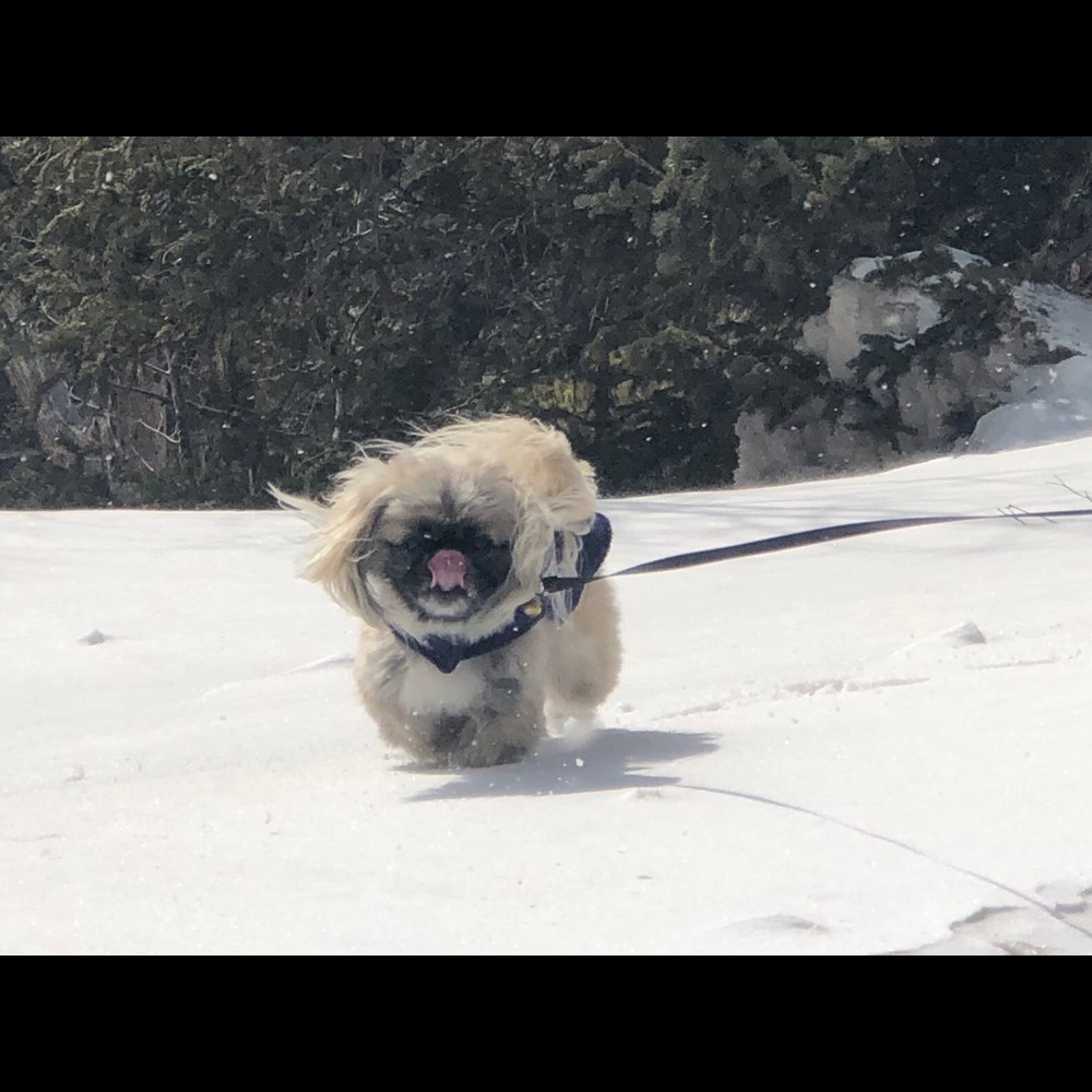 Meet your Posher, Jennifer